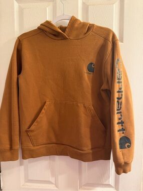 Boys Carhartt Hooded Sweatshirt in Brown Large 14-16